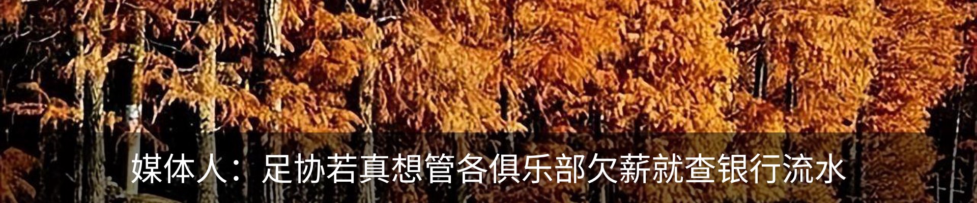 资讯动态