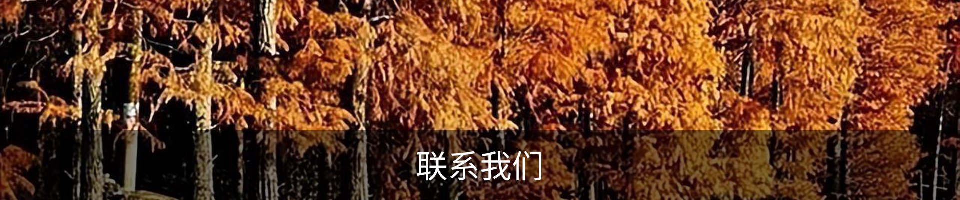 联系我们