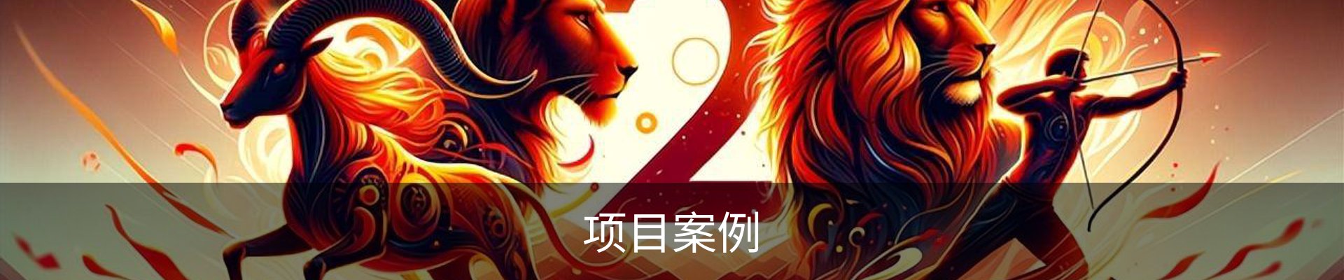 项目案例